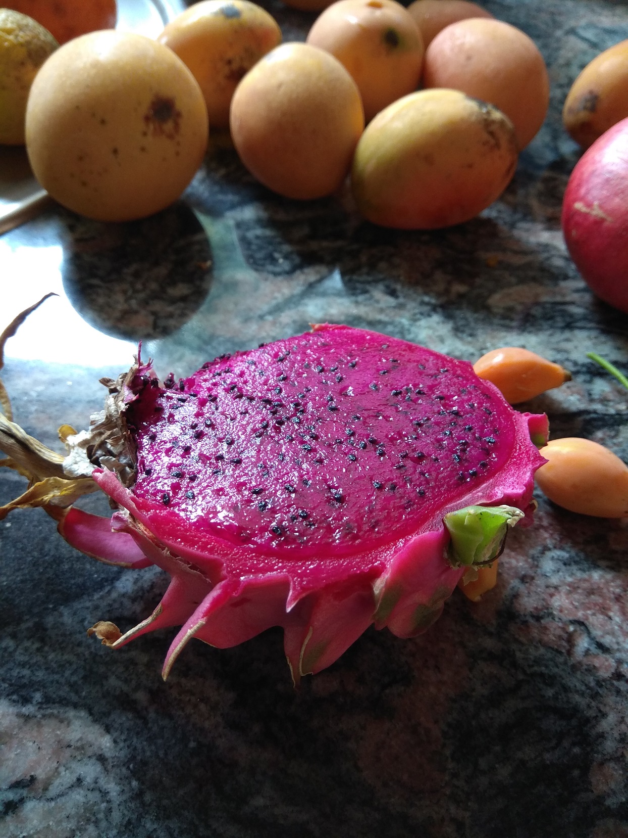 Cata y exposición de pitayas en Breña Baja