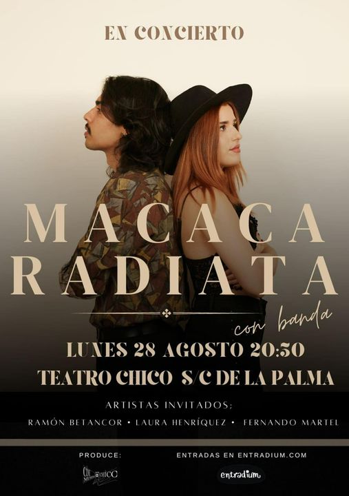 Macaca Radiata en concierto en el Teatro Chico