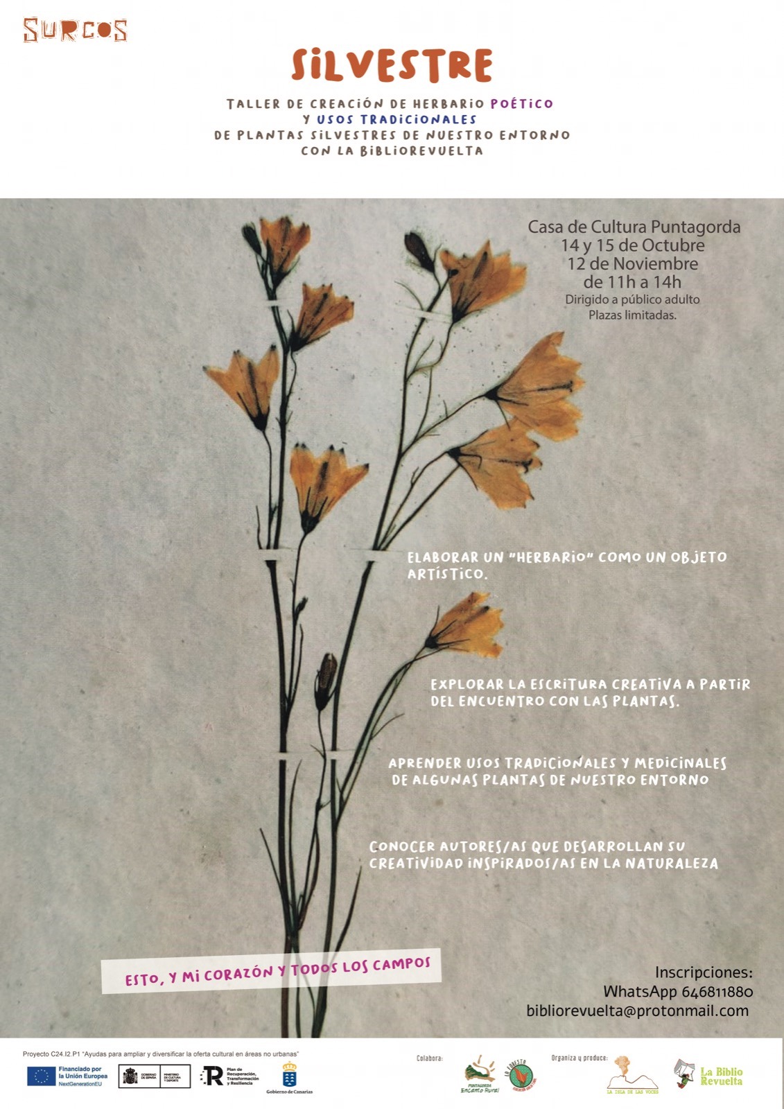 "Silvestre": taller de creación de herbario poético