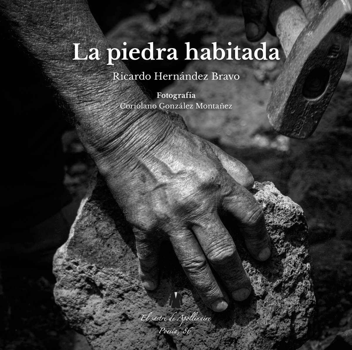 Presentación del libro "La Piedra habitada", de Ricardo Hernández Bravo