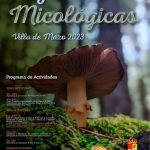 V Jornadas micológicas en Villa de Mazo