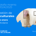 Diseño y gestión de proyectos culturales