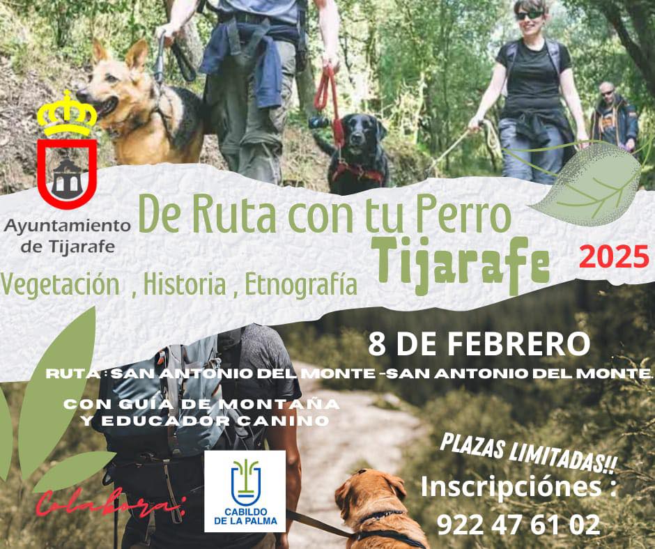 De ruta con tu perro: San Antonio del Monte