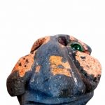 Exposición Plutónicas, de Gustavo Díaz