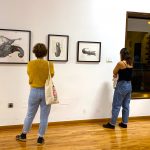 La Palma Renovable convoca a artistas para la expo "Arte Climático" en el IV Festival de la Buena Energía