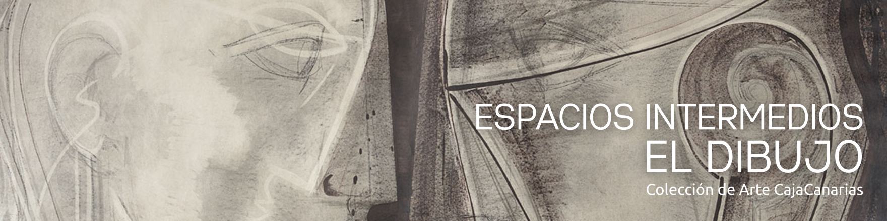 Exposición "Espacios intermedios. el dibujo"