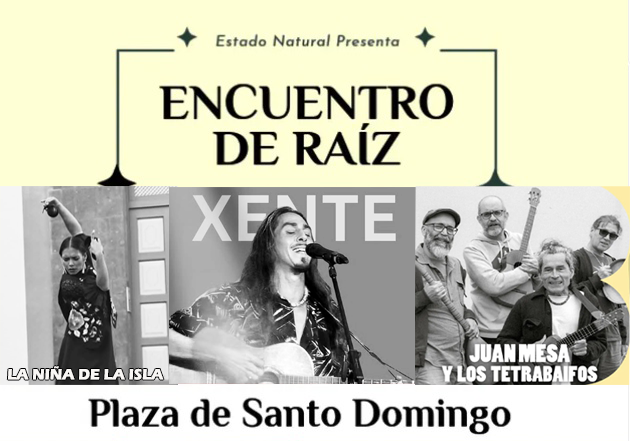 "Encuentro de Raíz", en la Plaza de Santo Domingo
