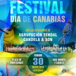 Festival Día de Canarias en San Andrés y Sauces