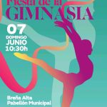 Fiesta de la Gimnasia Rítmica en Breña Alta