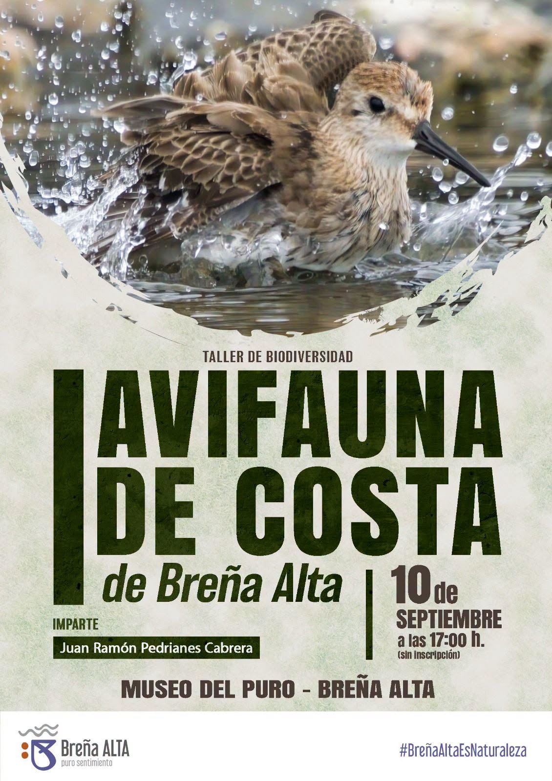 Taller de divulgación "Avifauna de costa"
